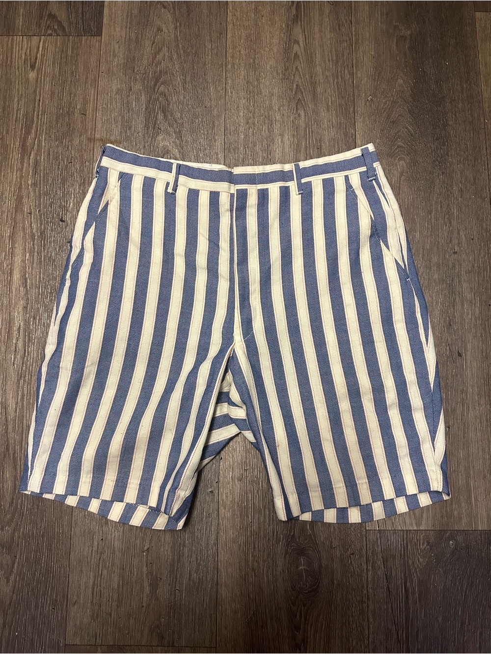 Men's Blue and White Striped Casual Shorts